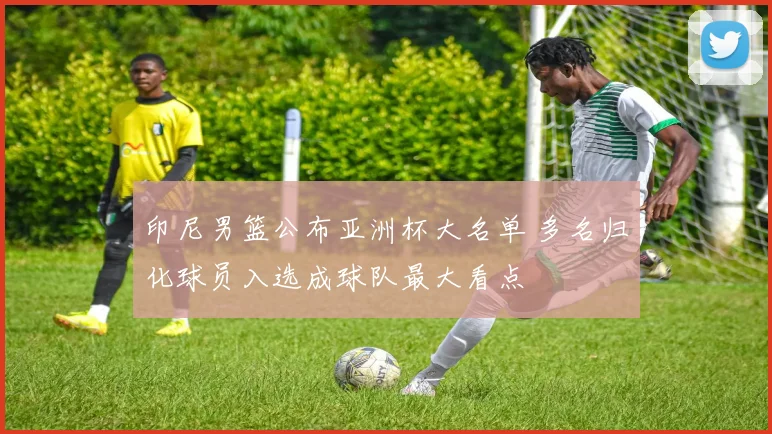 印尼男篮公布亚洲杯大名单 多名归化球员入选成球队最大看点