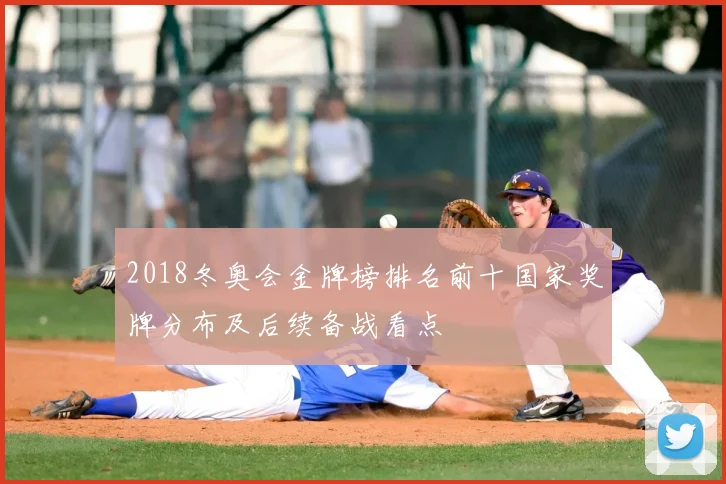 2018冬奥会金牌榜排名前十国家奖牌分布及后续备战看点